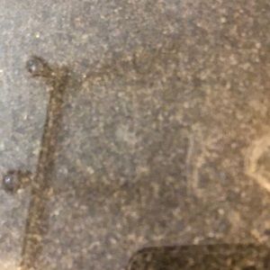 Meet your Posher, Shiree